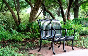 Park bench surrounded by lush green foliage.