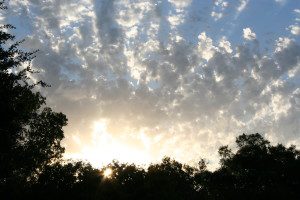 Sunrise with clouds and silhouetted trees.